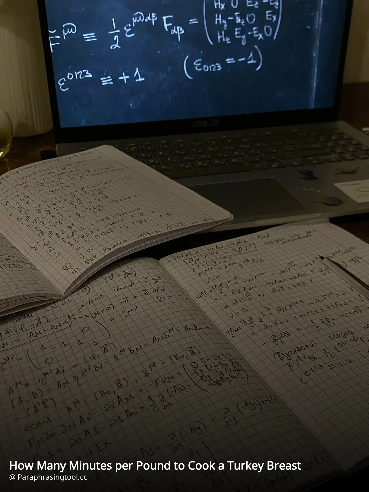 How Many Minutes per Pound to Cook a Turkey Breast