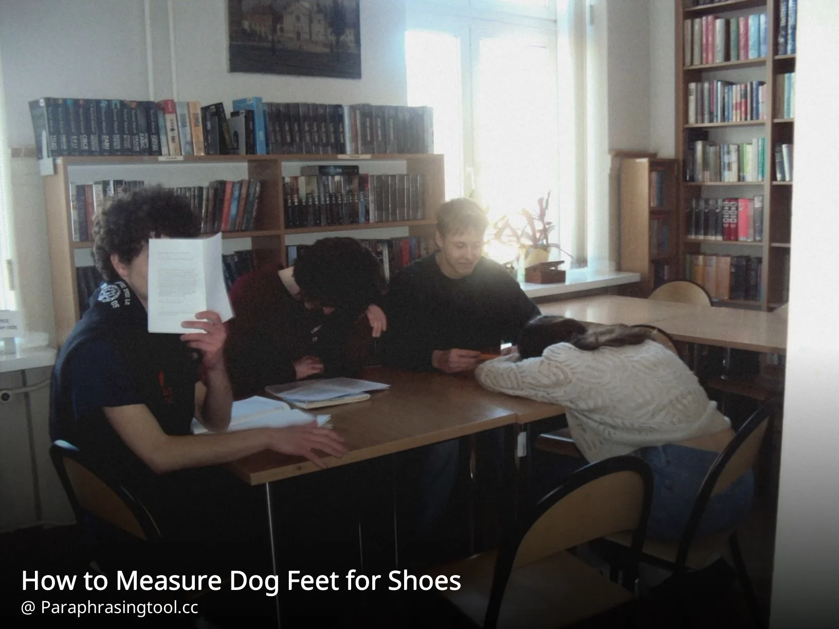 How to Measure Dog Feet for Shoes