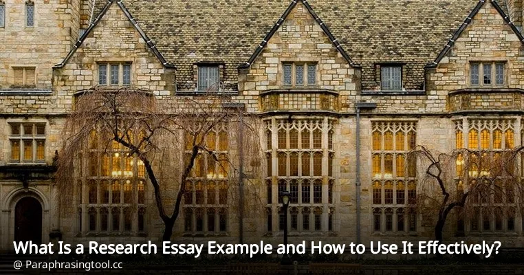 What Is a Research Essay Example and How to Use It Effectively?