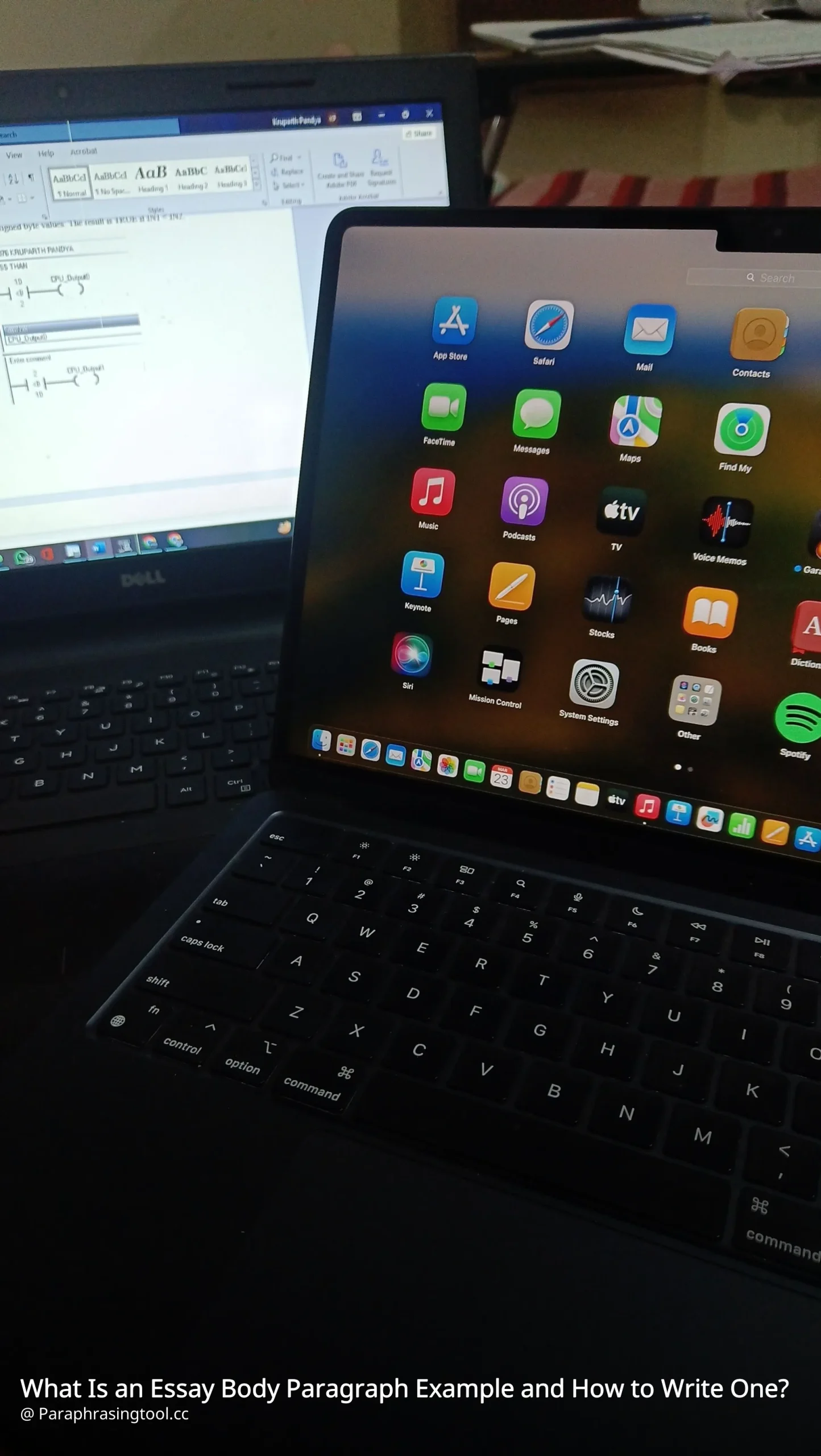 What Is an Essay Body Paragraph Example and How to Write One?