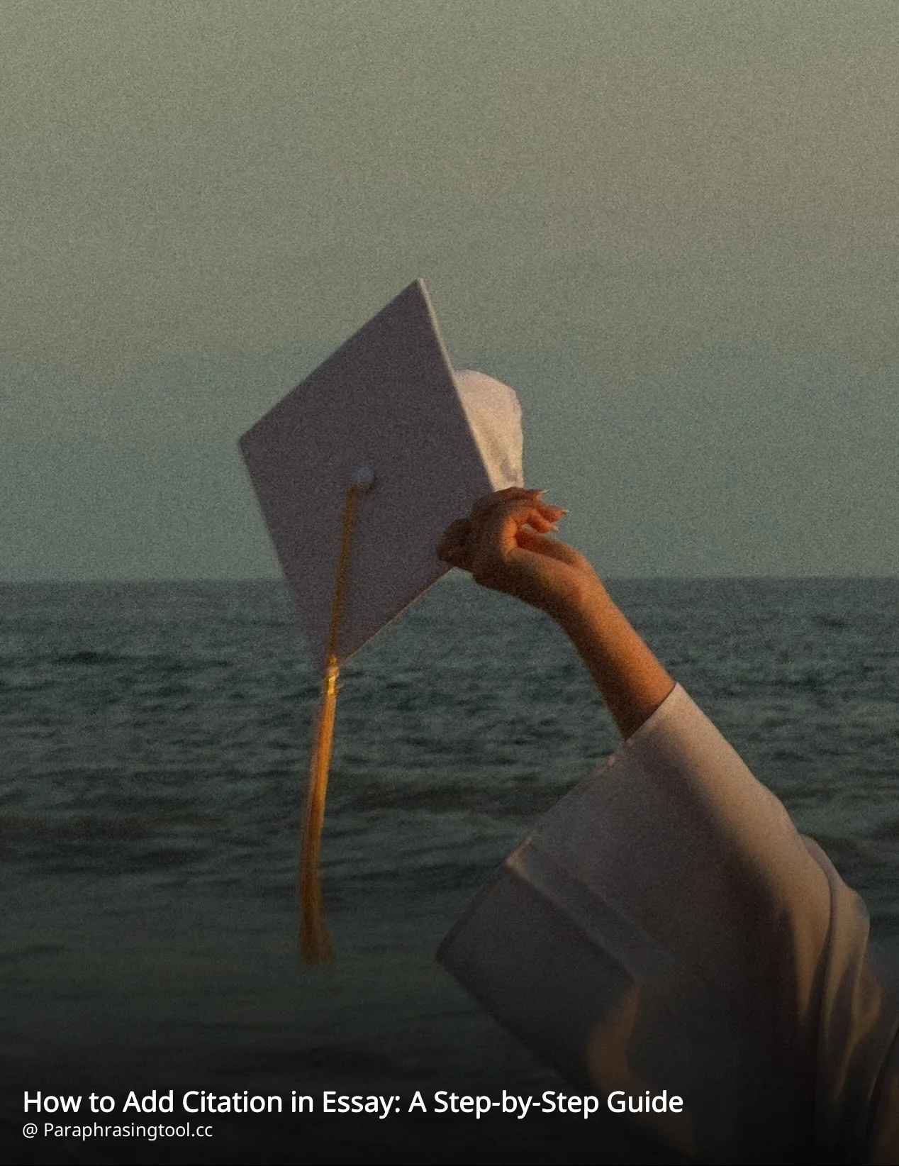 How to Add Citation in Essay: A Step-by-Step Guide