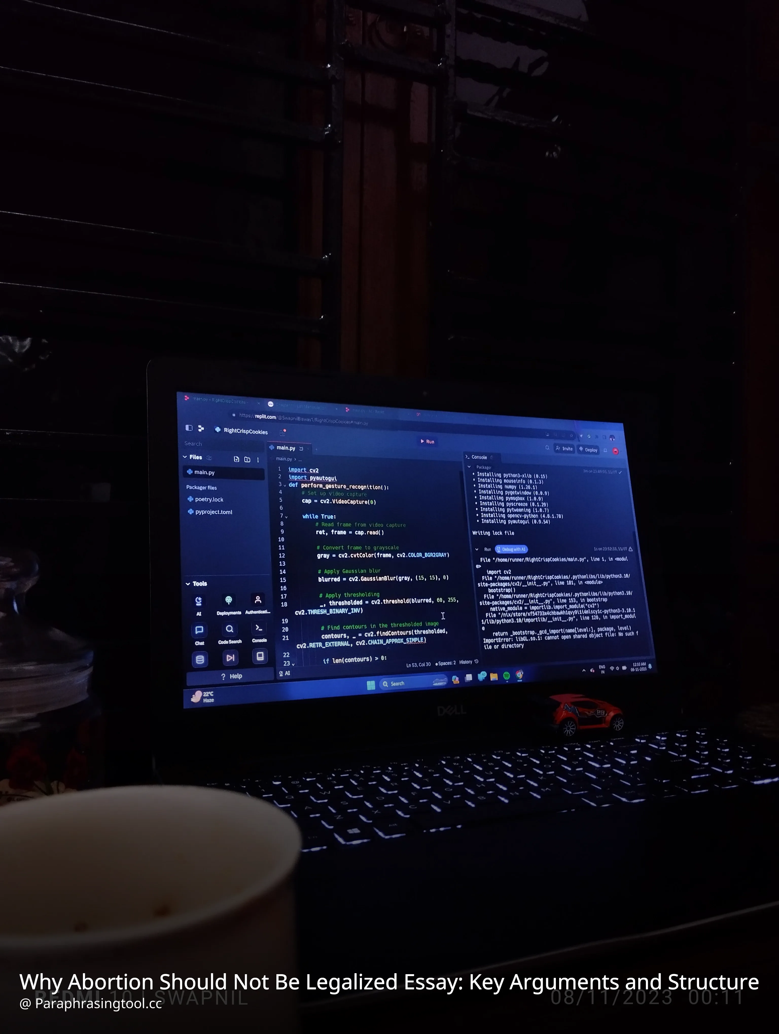 Why Abortion Should Not Be Legalized Essay: Key Arguments and Structure