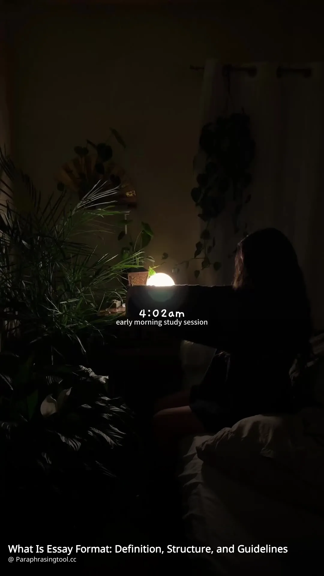 What Is Essay Format: Definition, Structure, and Guidelines