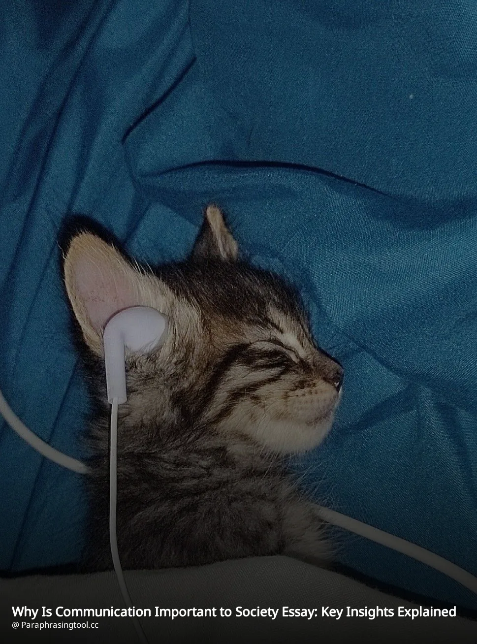 Why Is Communication Important to Society Essay: Key Insights Explained