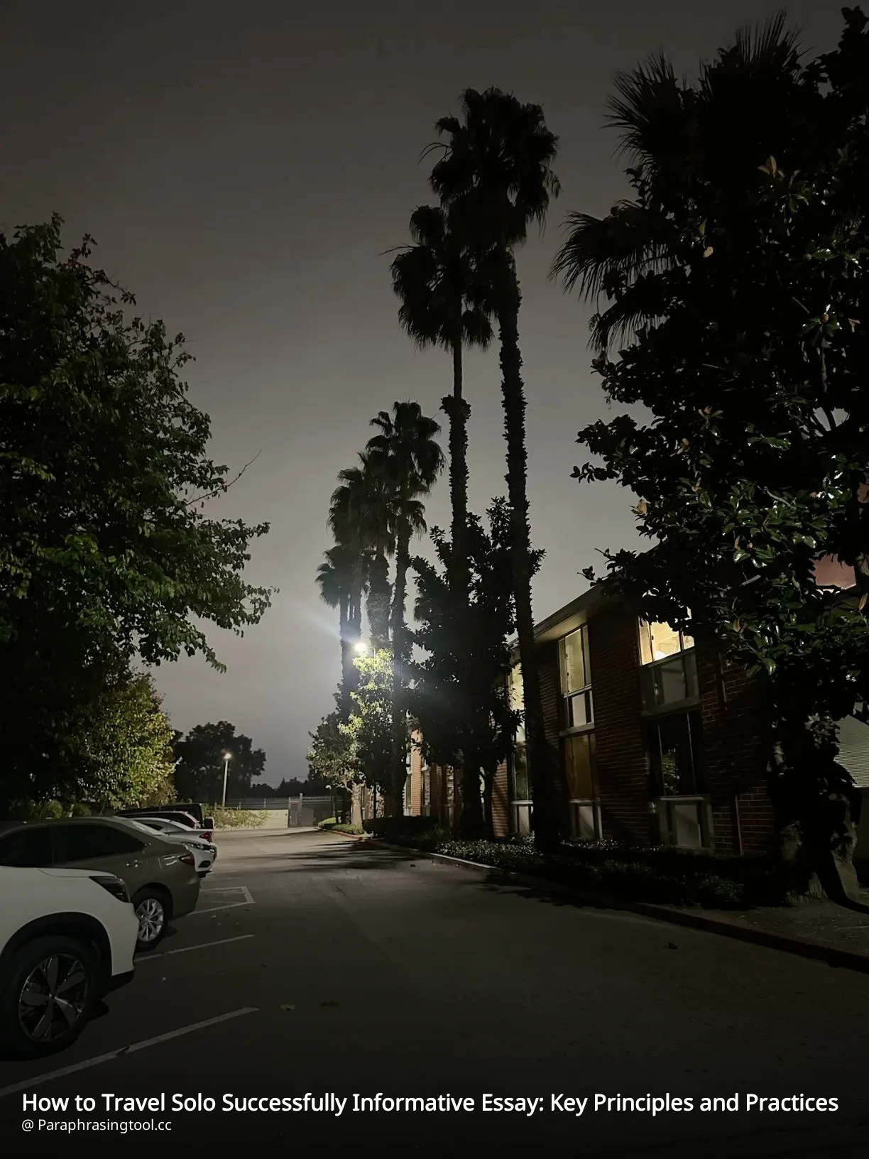 How to Travel Solo Successfully Informative Essay: Key Principles and Practices