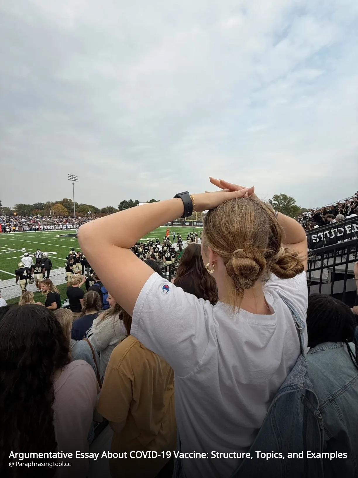 Argumentative Essay About COVID-19 Vaccine: Structure, Topics, and Examples