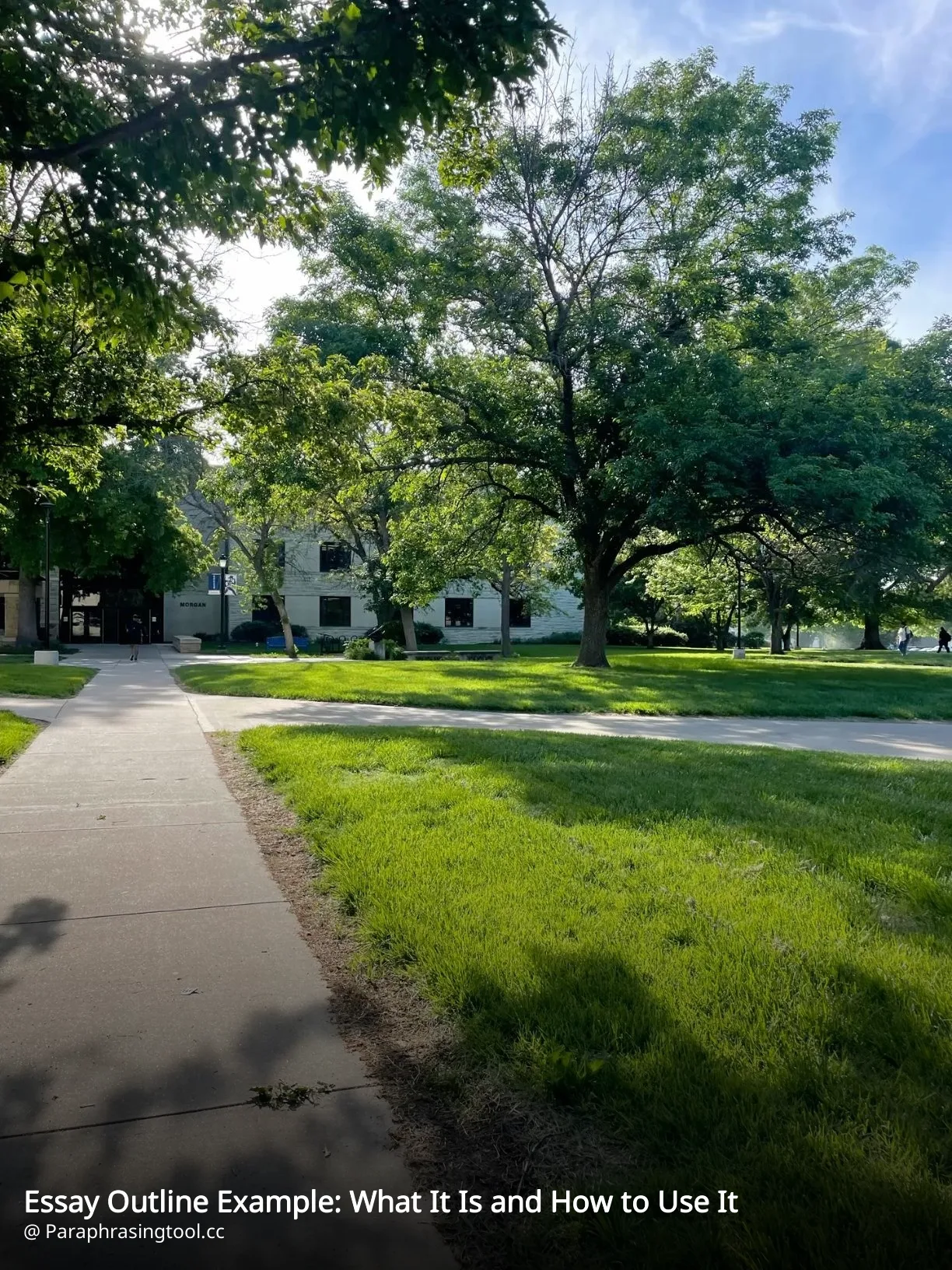 Essay Outline Example: What It Is and How to Use It