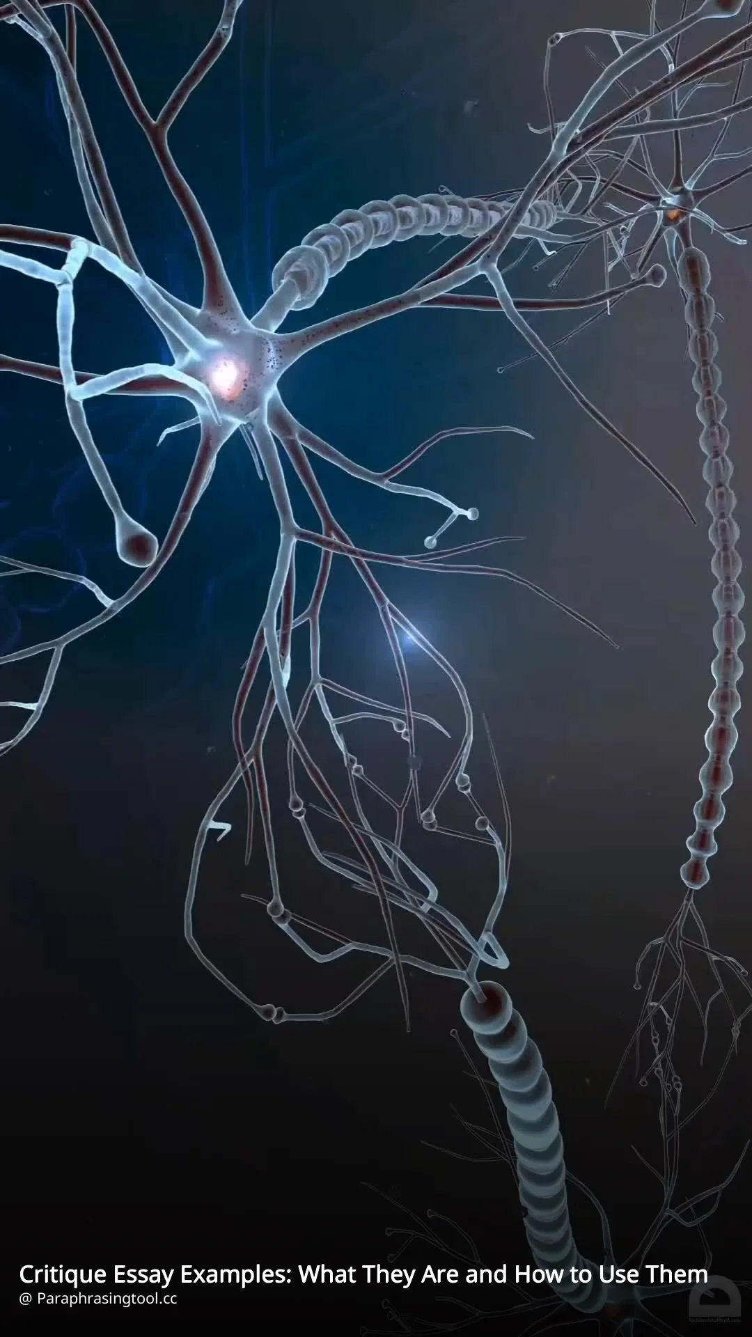 Critique Essay Examples: What They Are and How to Use Them