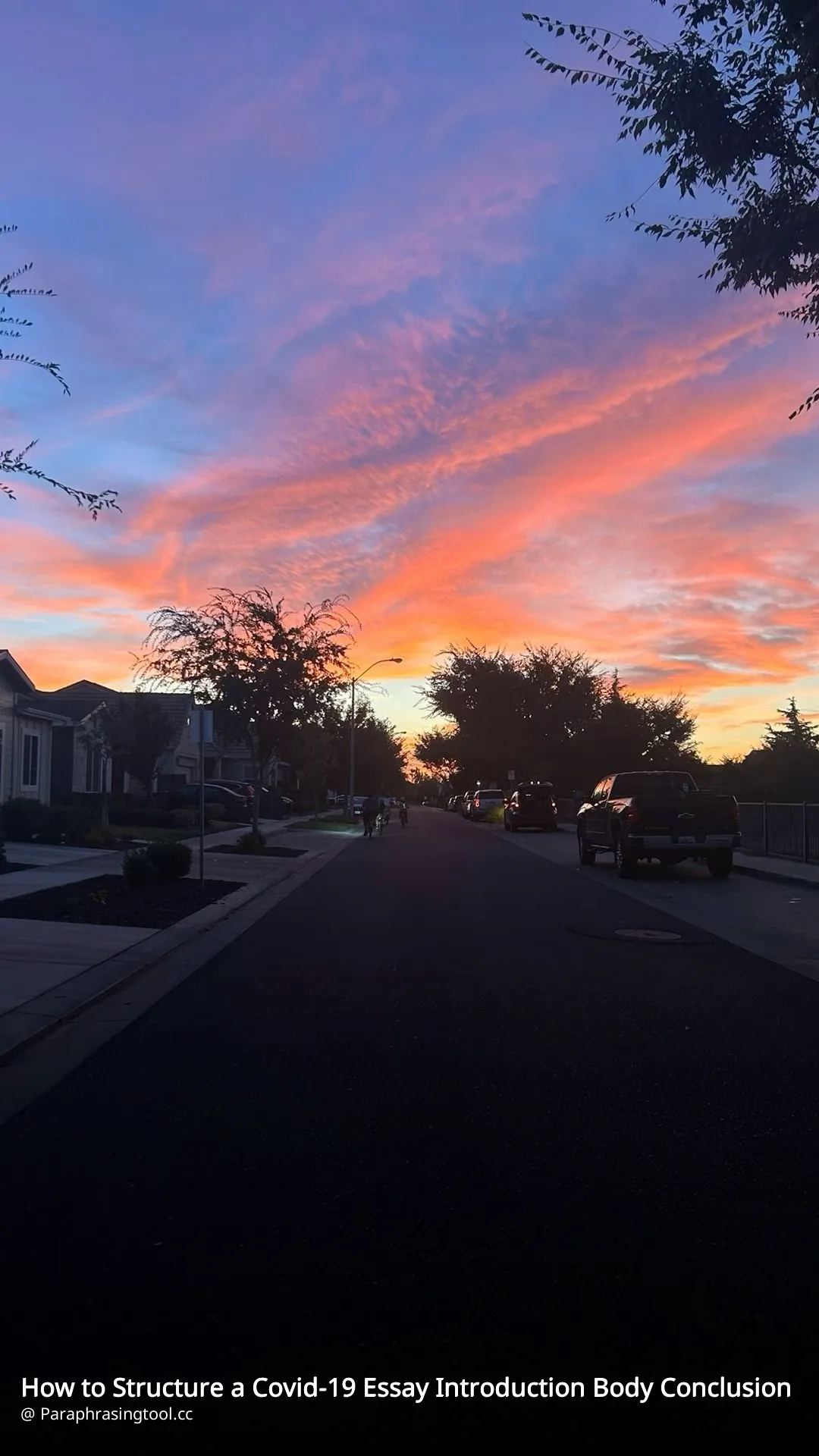 How to Structure a Covid-19 Essay Introduction Body Conclusion