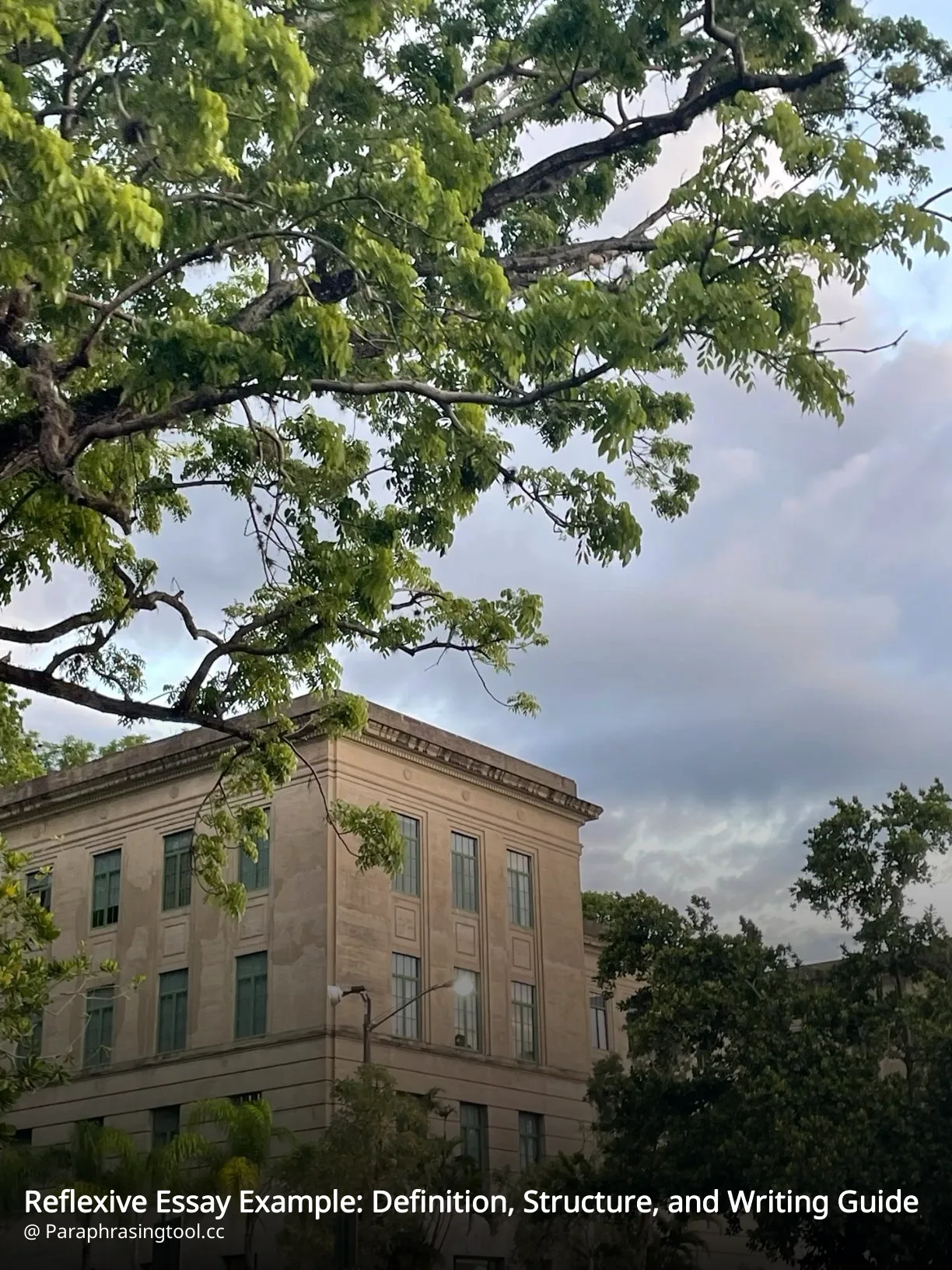 Reflexive Essay Example: Definition, Structure, and Writing Guide