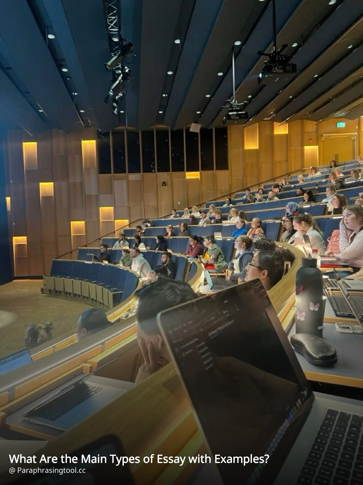 What Are the Main Types of Essay with Examples?