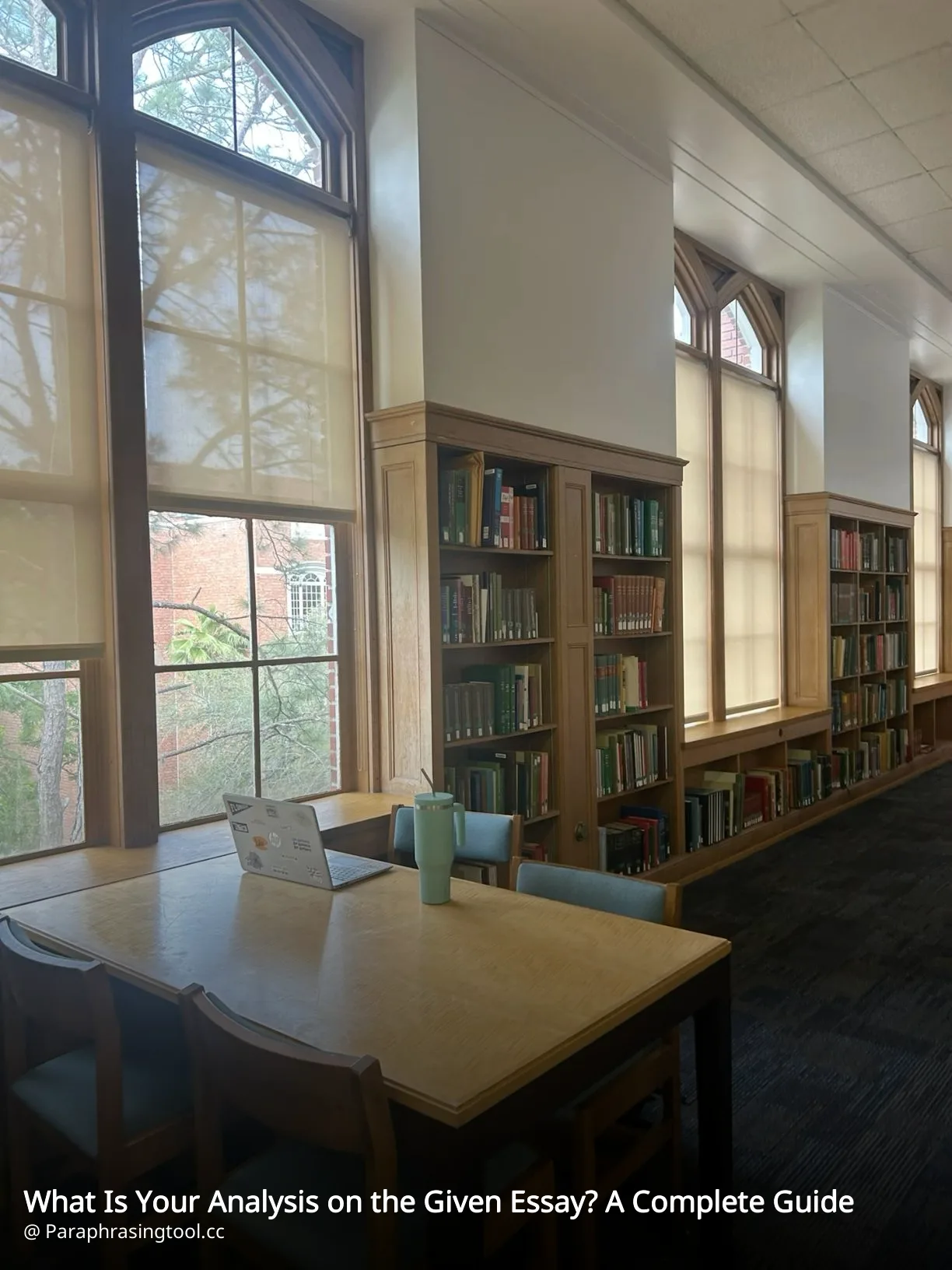 What Is Your Analysis on the Given Essay? A Complete Guide