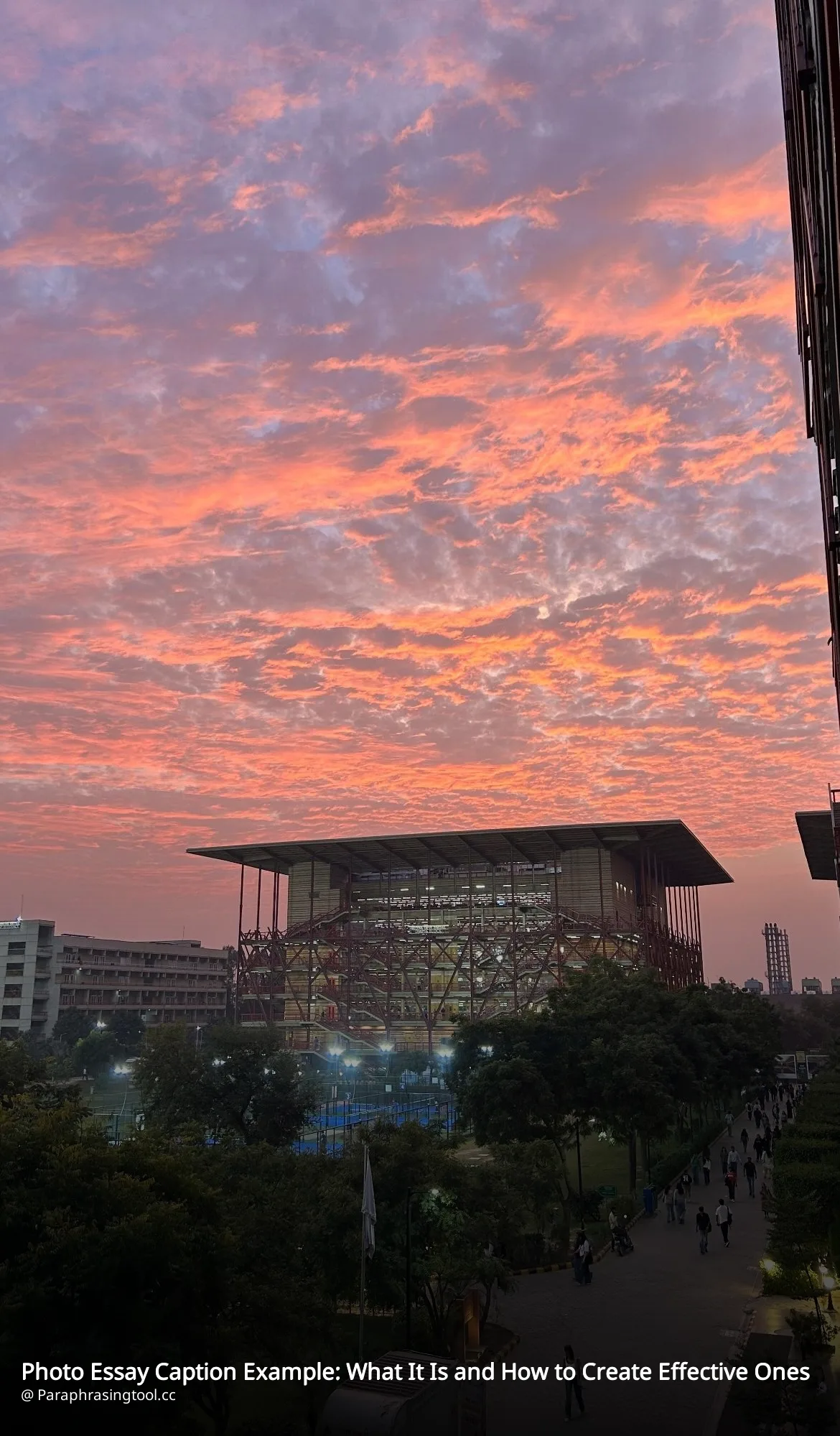 Photo Essay Caption Example: What It Is and How to Create Effective Ones