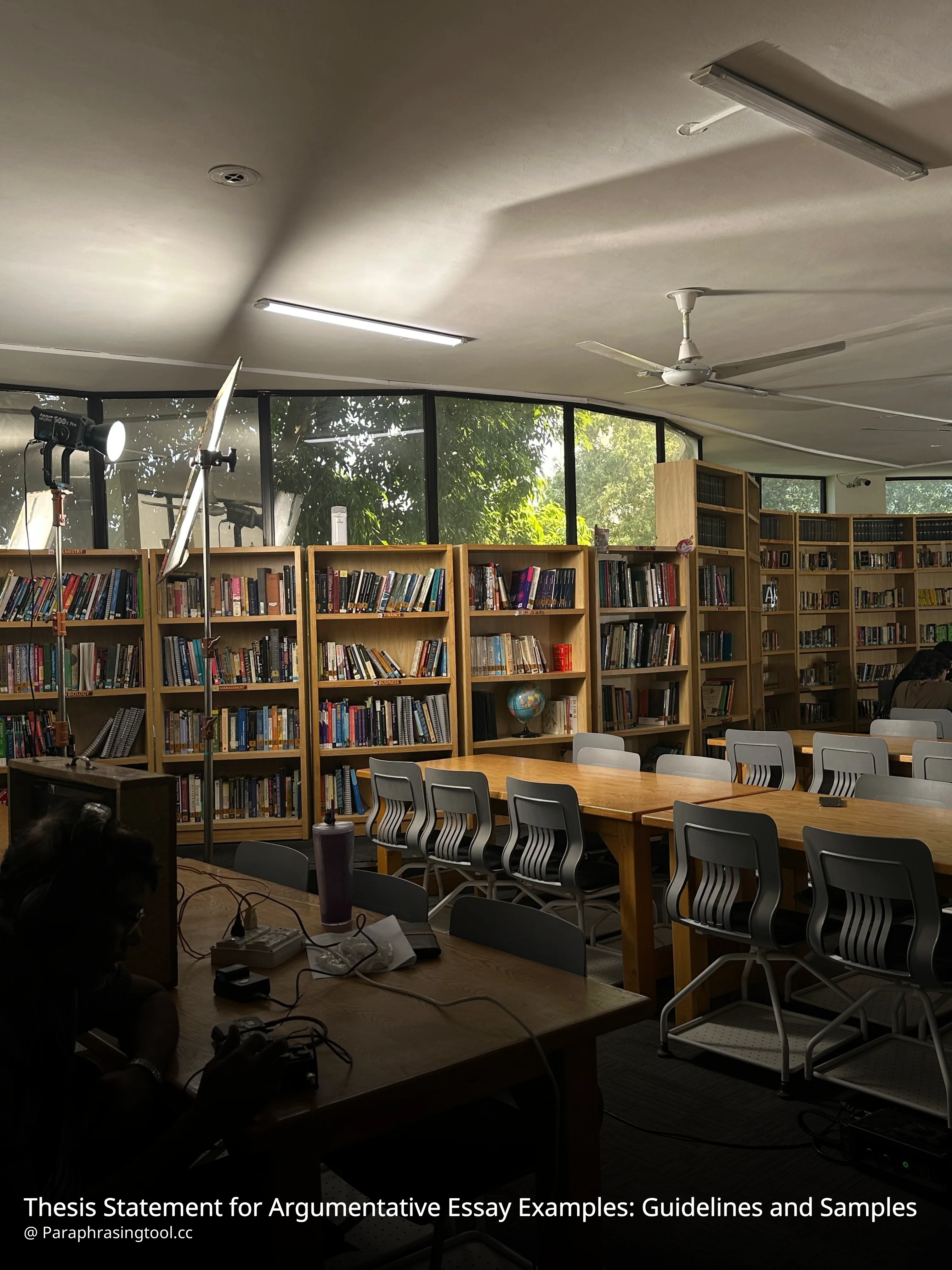 Thesis Statement for Argumentative Essay Examples: Guidelines and Samples