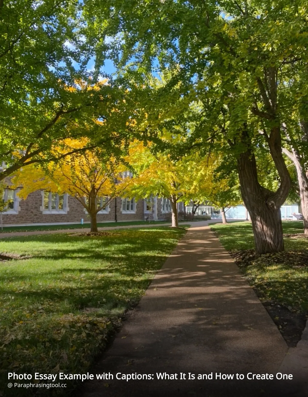 Photo Essay Example with Captions: What It Is and How to Create One