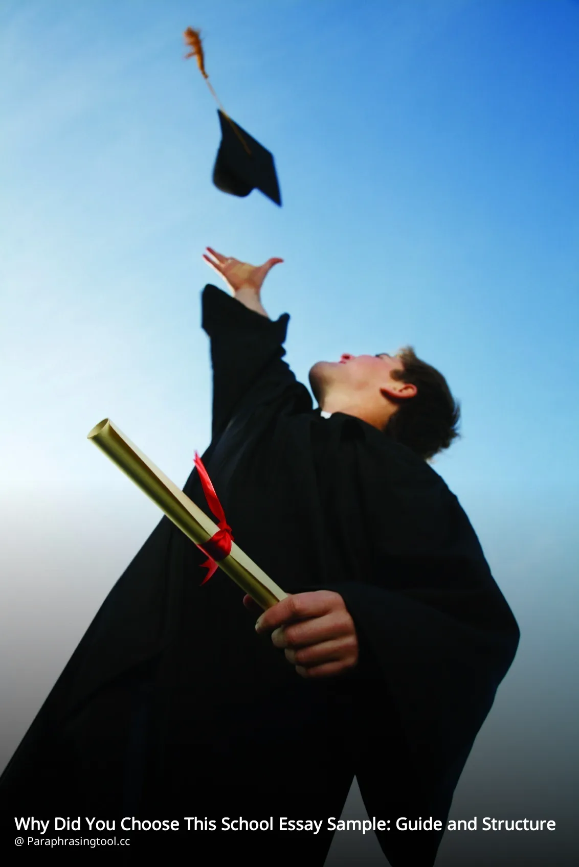 Why Did You Choose This School Essay Sample: Guide and Structure