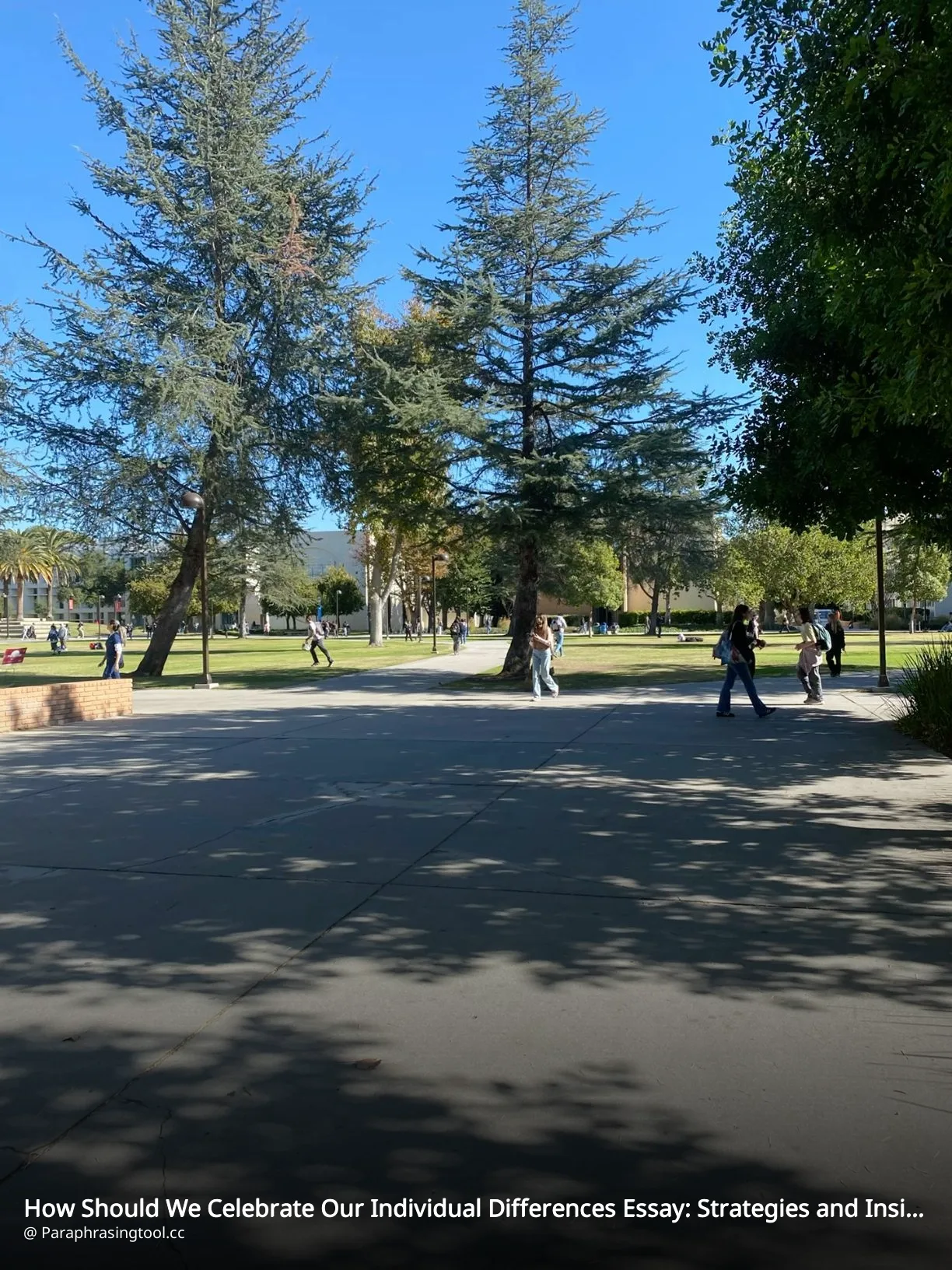 How Should We Celebrate Our Individual Differences Essay: Strategies and Insights