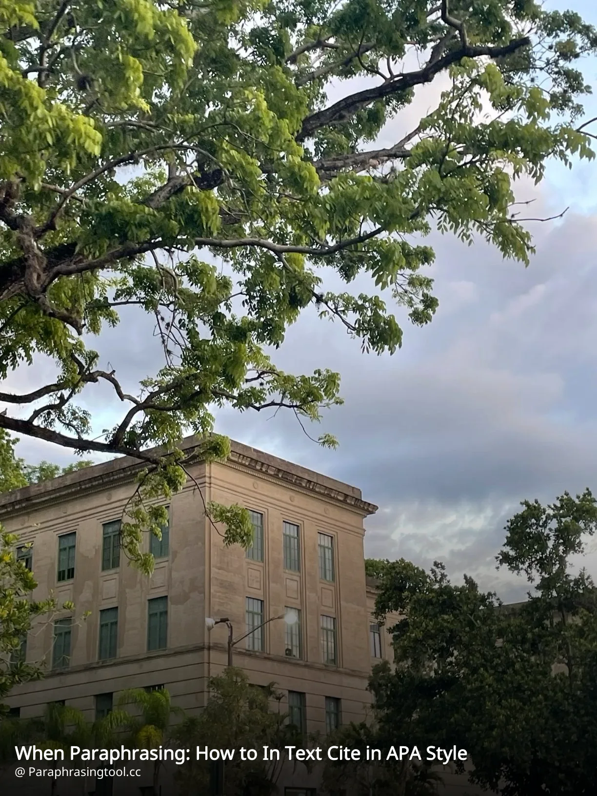 When Paraphrasing: How to In Text Cite in APA Style