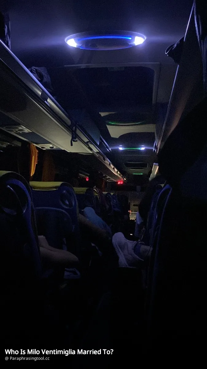 Who Is Milo Ventimiglia Married To?