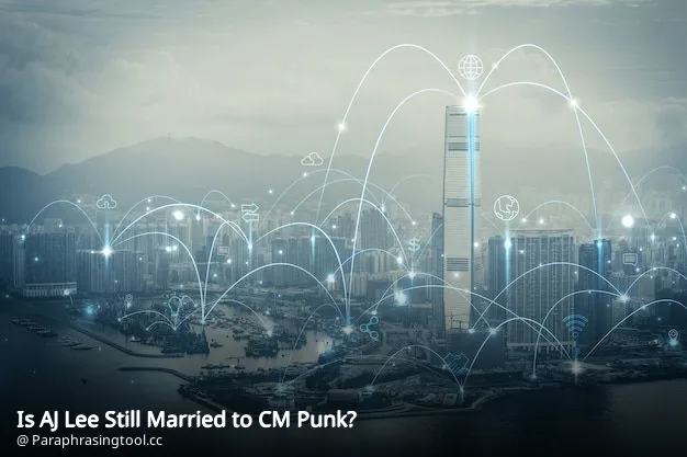 Is AJ Lee Still Married to CM Punk?
