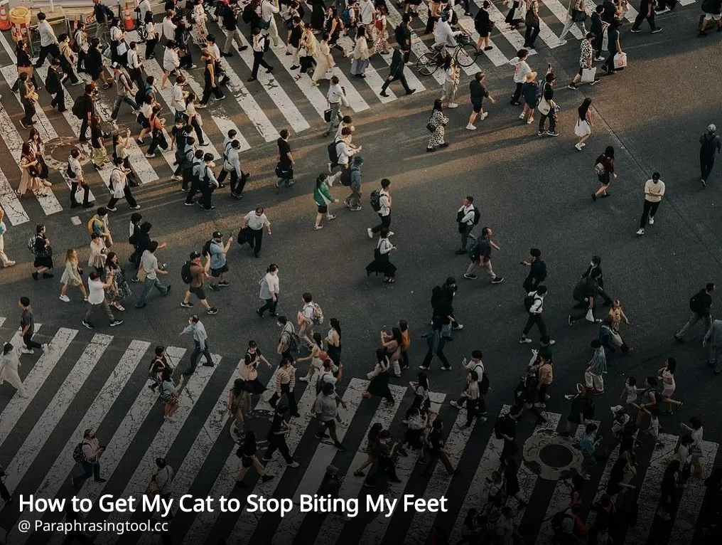 How to Get My Cat to Stop Biting My Feet