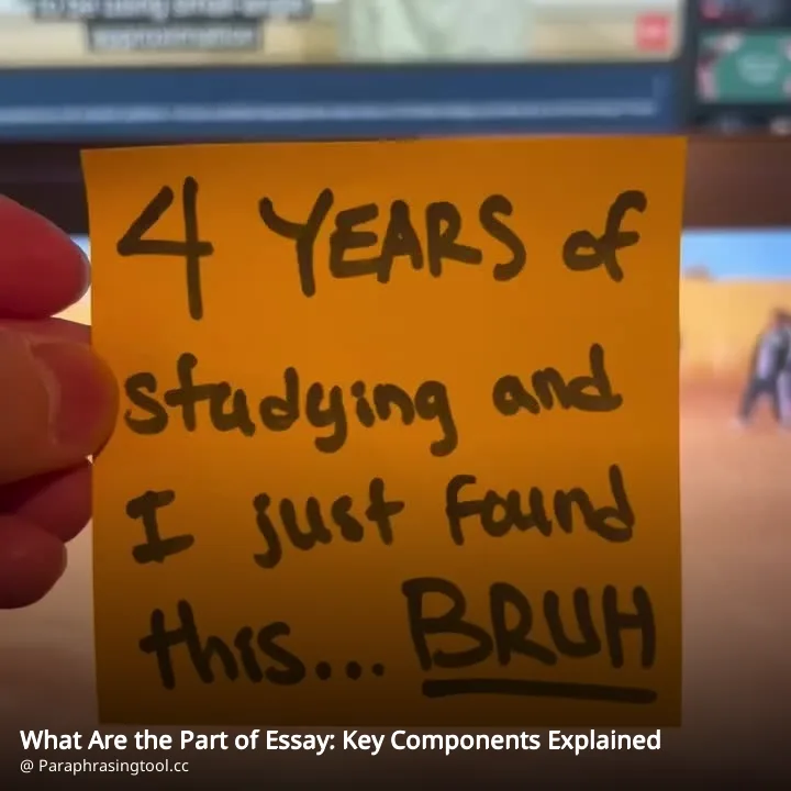 What Are the Part of Essay: Key Components Explained