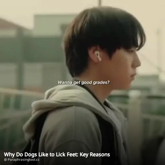 Why Do Dogs Like to Lick Feet: Key Reasons