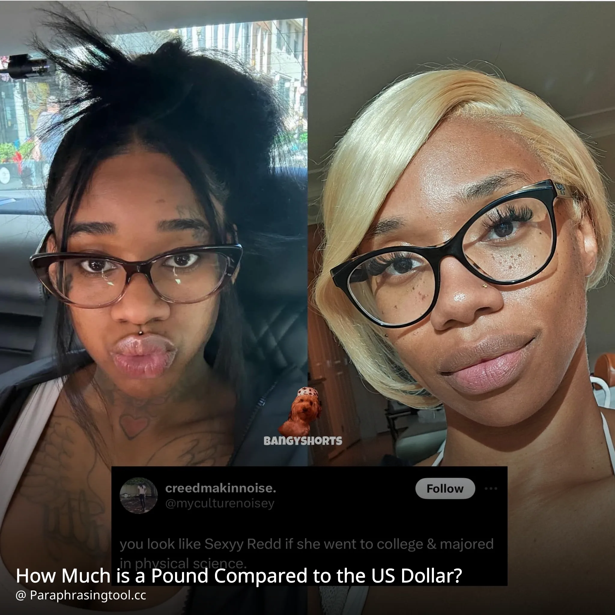 How Much is a Pound Compared to the US Dollar?