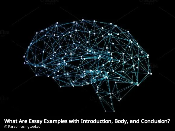 What Are Essay Examples with Introduction, Body, and Conclusion?