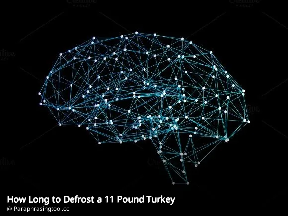 How Long to Defrost a 11 Pound Turkey