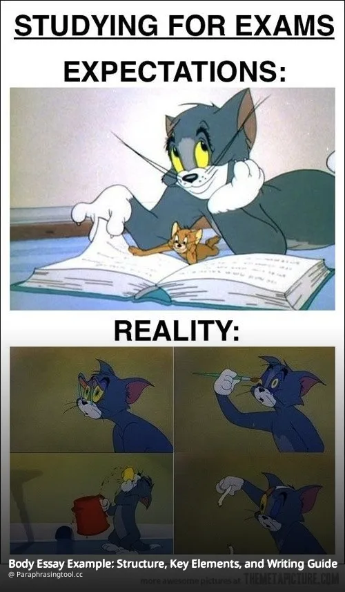 Body Essay Example: Structure, Key Elements, and Writing Guide