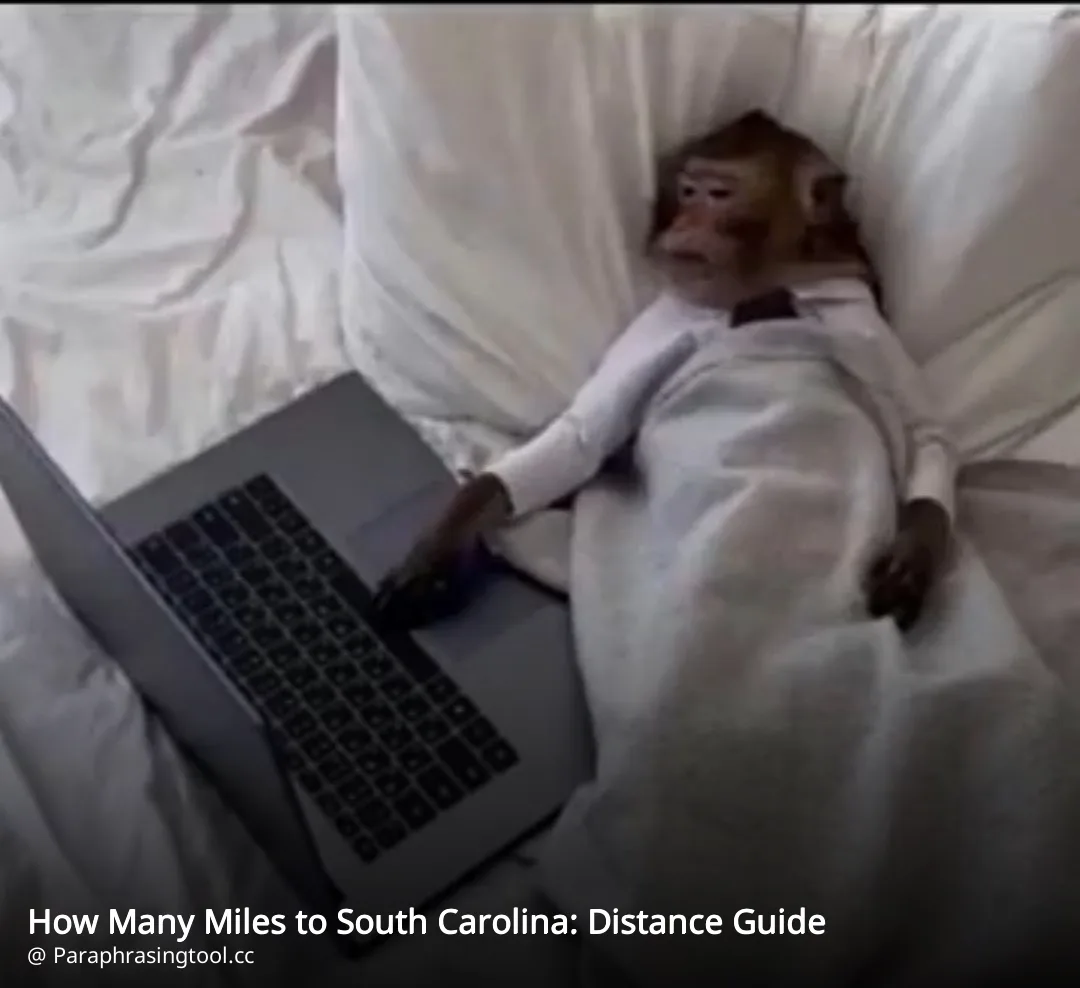 How Many Miles to South Carolina: Distance Guide