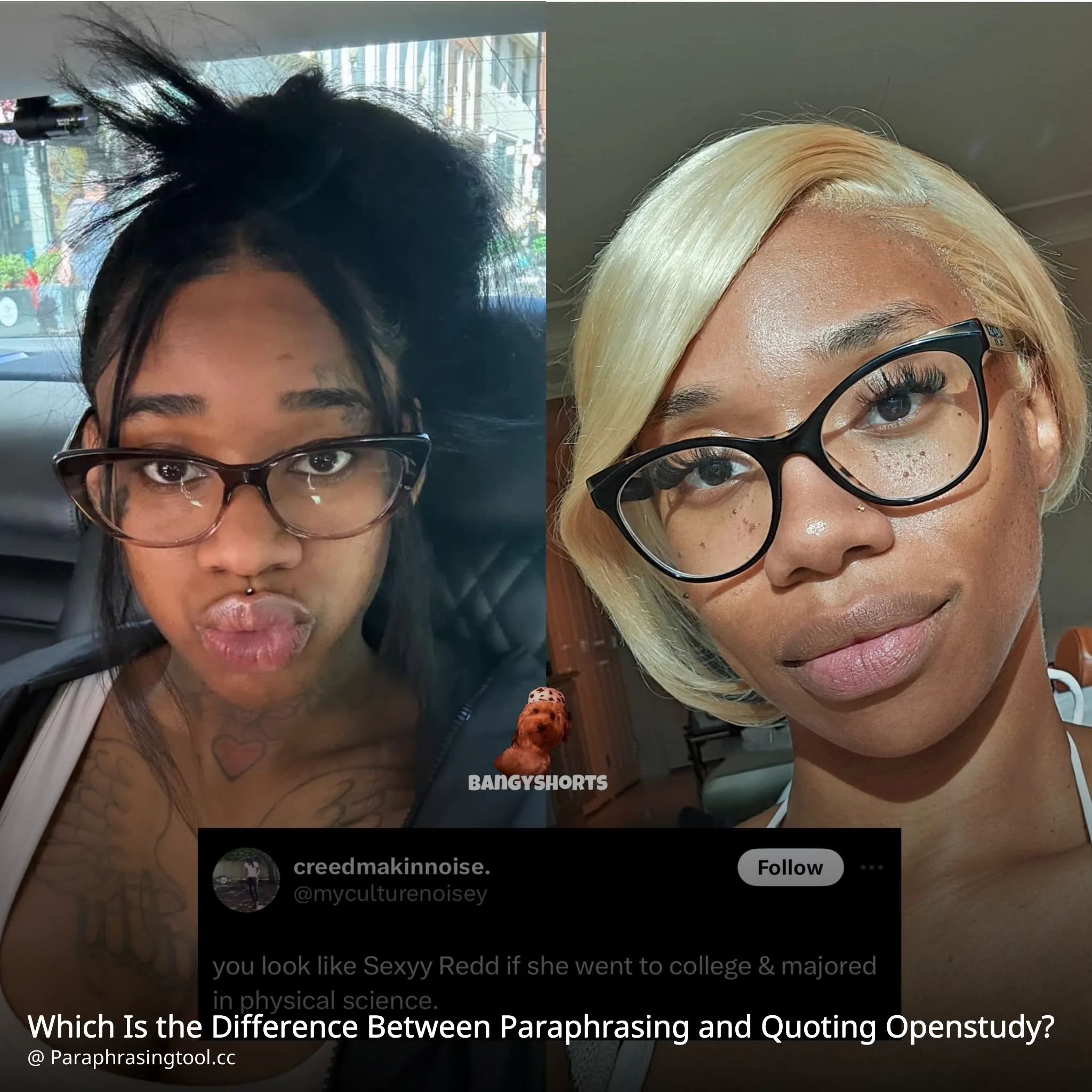 Which Is the Difference Between Paraphrasing and Quoting Openstudy?
